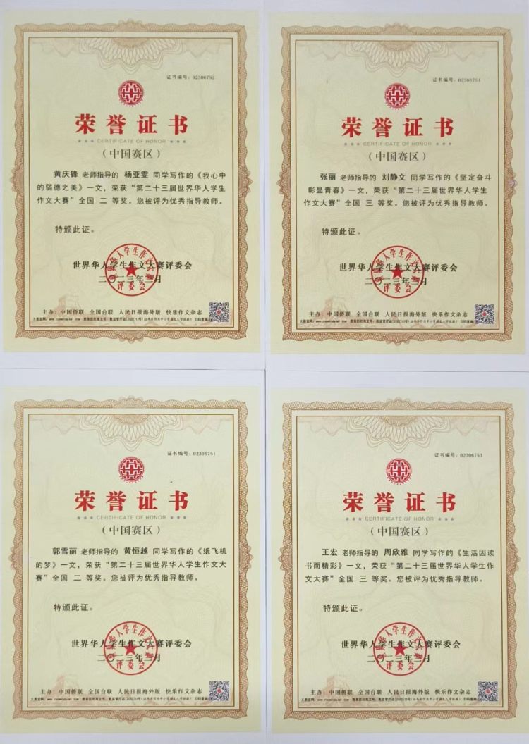 指导教师荣誉证书
