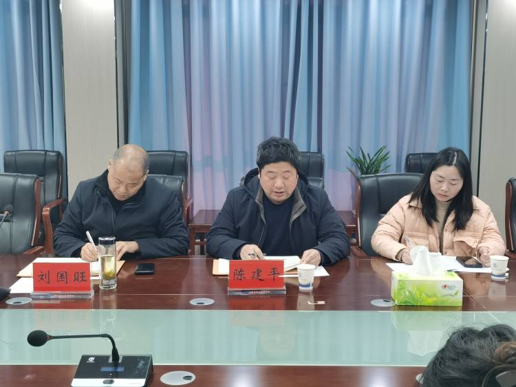 4.中心副主任陈建平讲话