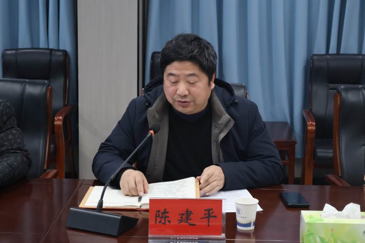 调整大小 8.中心副主任陈建平讲话