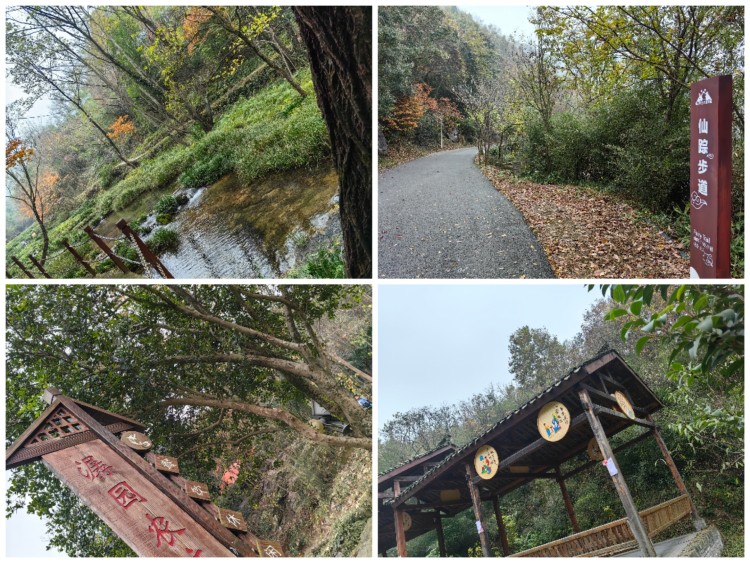 Collage_20241125_102747