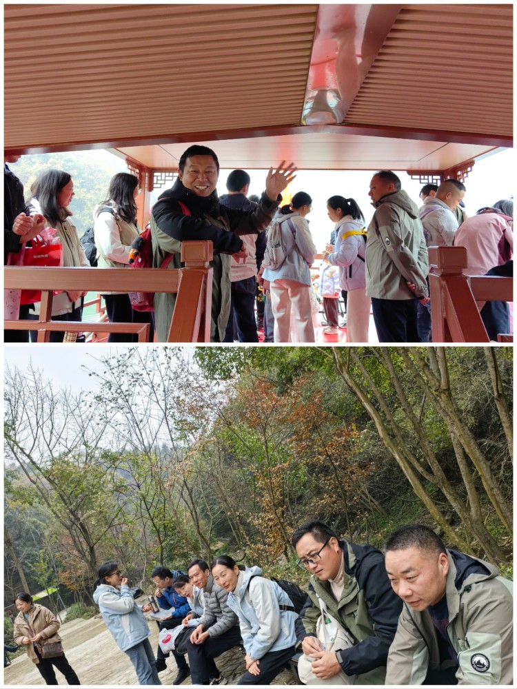 Collage_20241125_102607